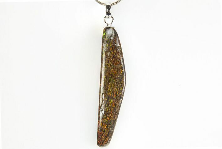 Brilliant Ammolite Pendant (Necklace) - Alberta, Canada #312495